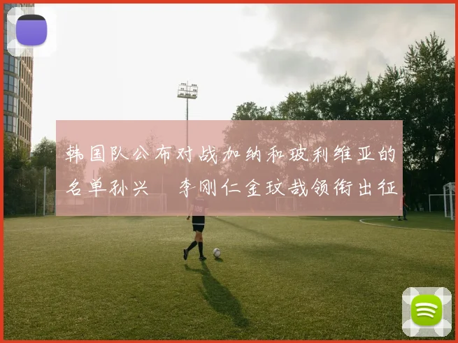 韩国队公布对战加纳和玻利维亚的名单孙兴慜李刚仁金玟哉领衔出征