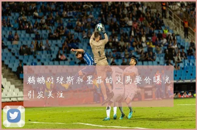 鹈鹕对琼斯和墨菲的交易要价曝光引发关注
